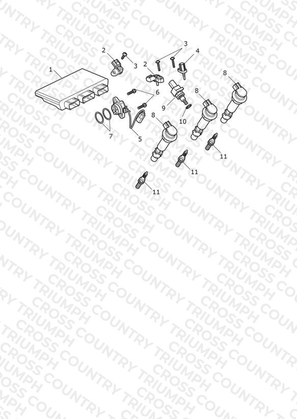 Engine Management