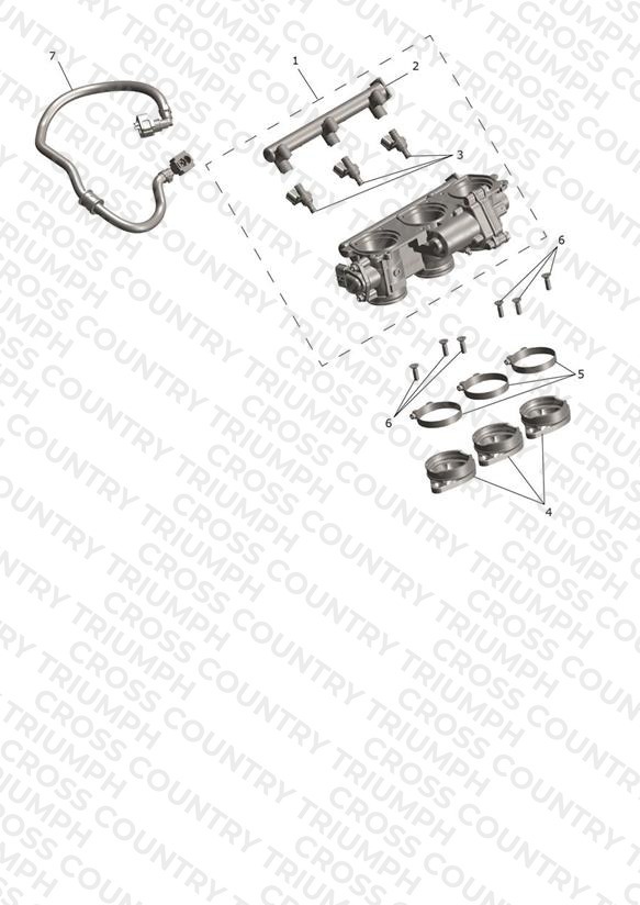 Throttle Bodies
