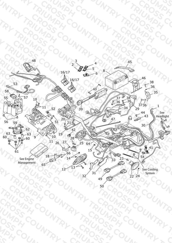 Electrical System
