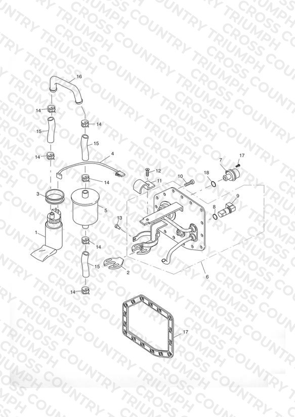 Fuel Pump & Filter Eng No 207447 >