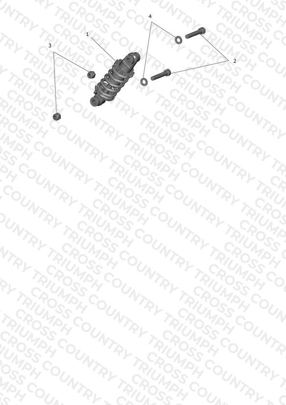 Rear Suspension Unit