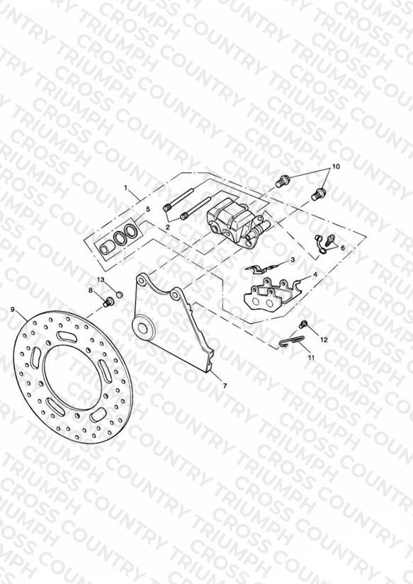 Rear Brake Disc and Caliper