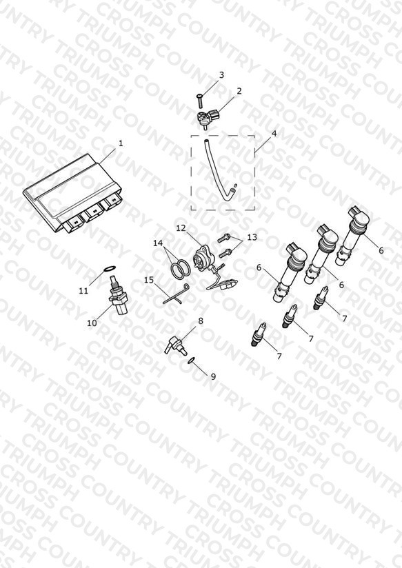 Engine Management