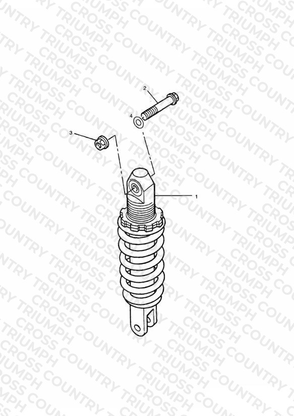 Rear Suspension Unit