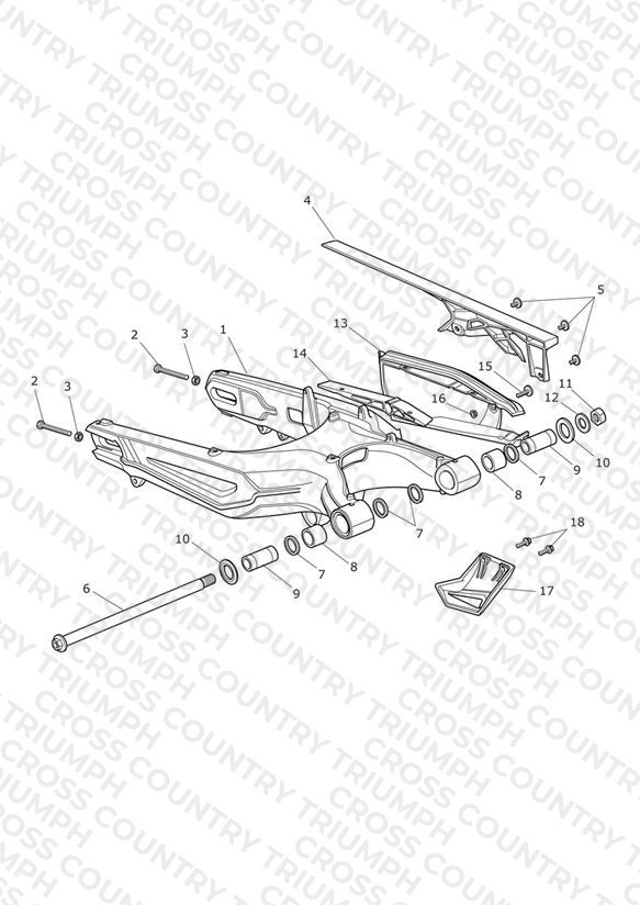 Rear Swingarm