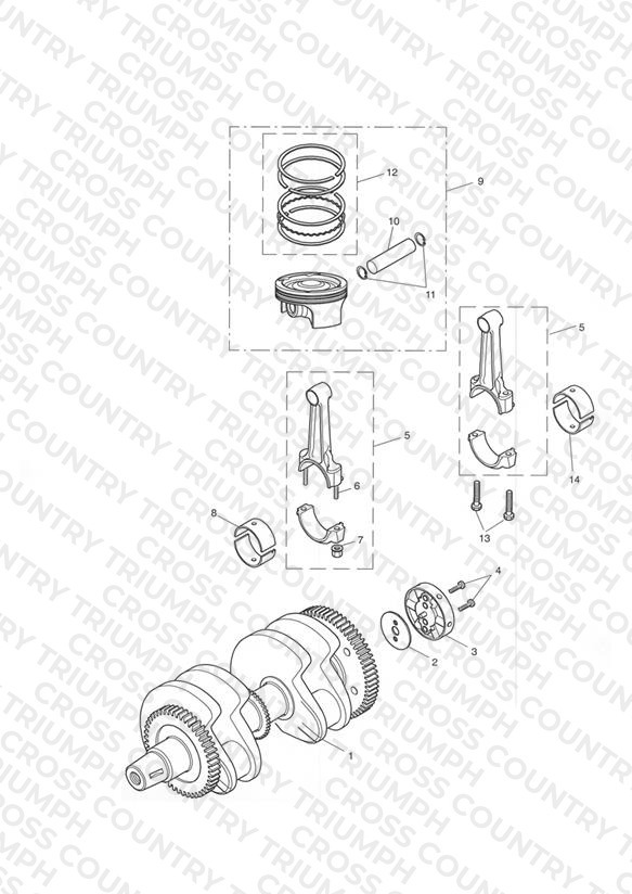 Crankshaft/Conn Rod and Pistons - Bonneville T100