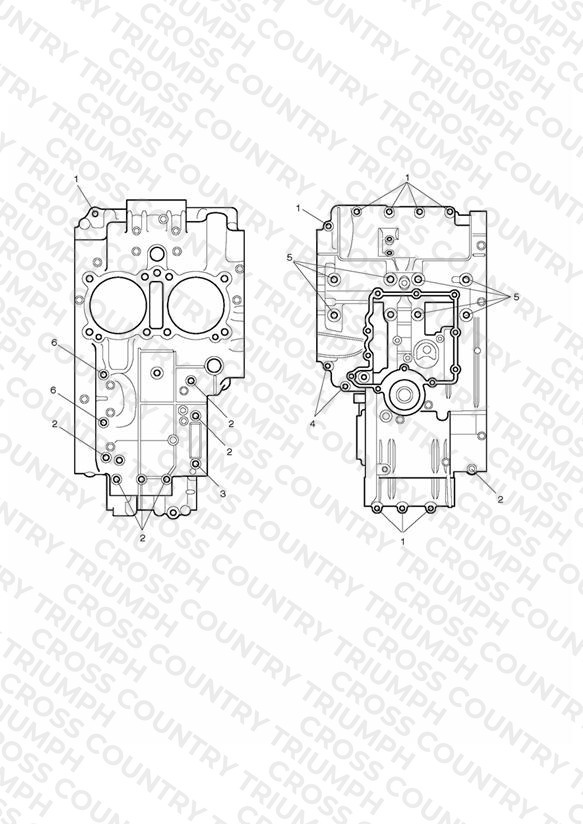 Crankcase Bolts
