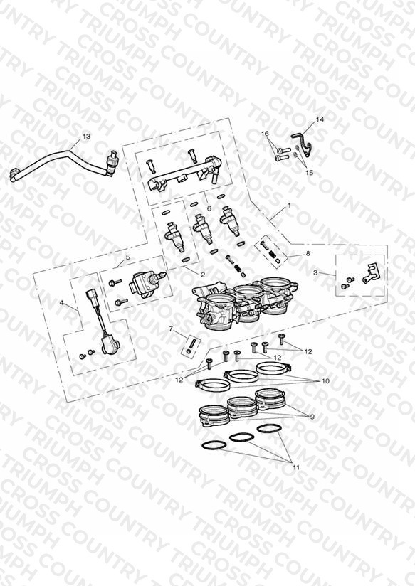 Throttles, Injectors and Fuel Rail