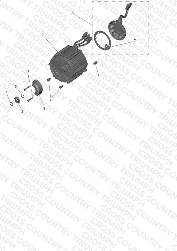 Motor