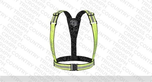 Bright Brace