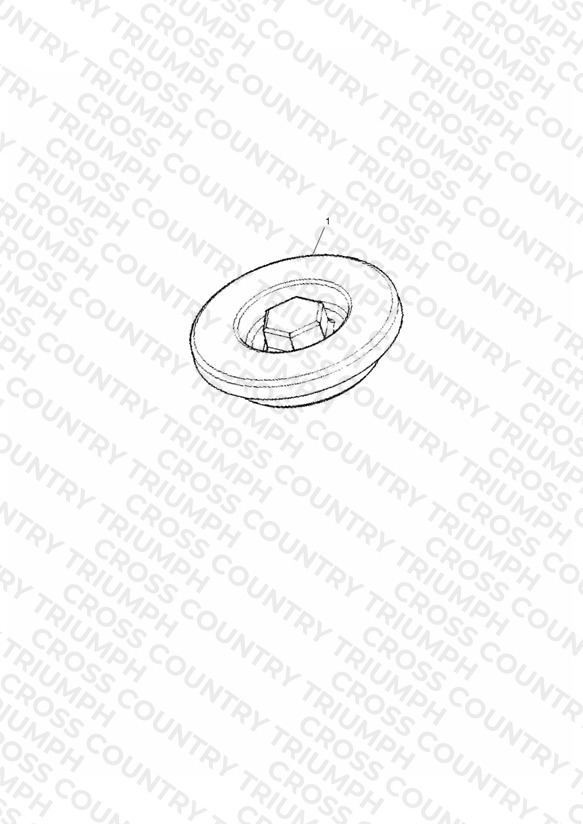 Inspection Cover