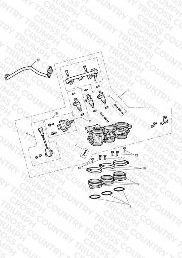 Throttles, Injectors and Fuel Rail