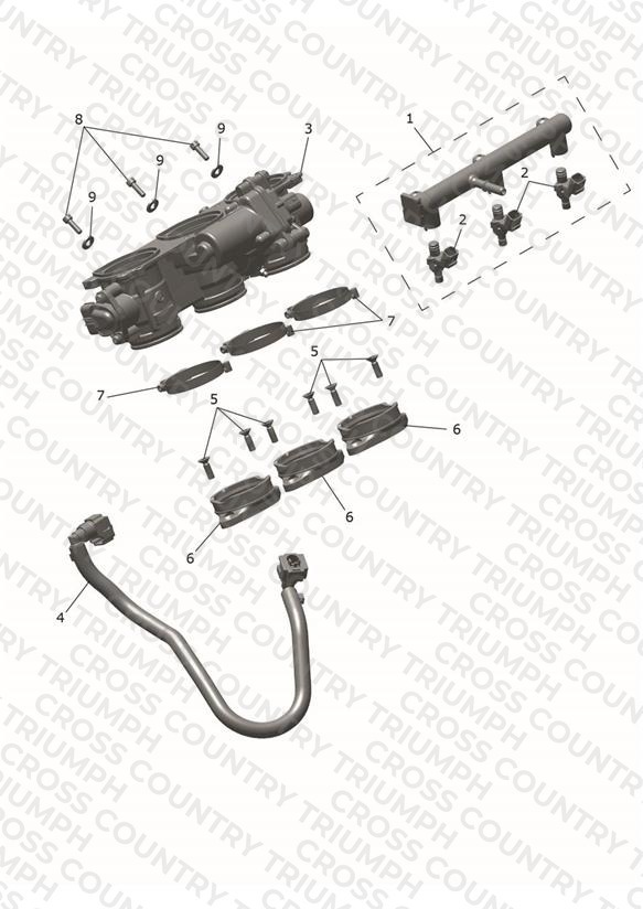 Throttle Bodies