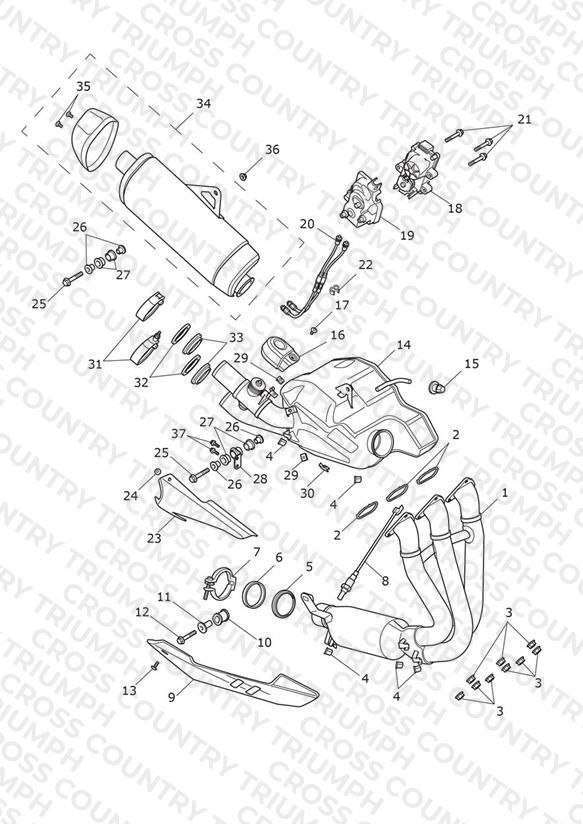 Exhaust System