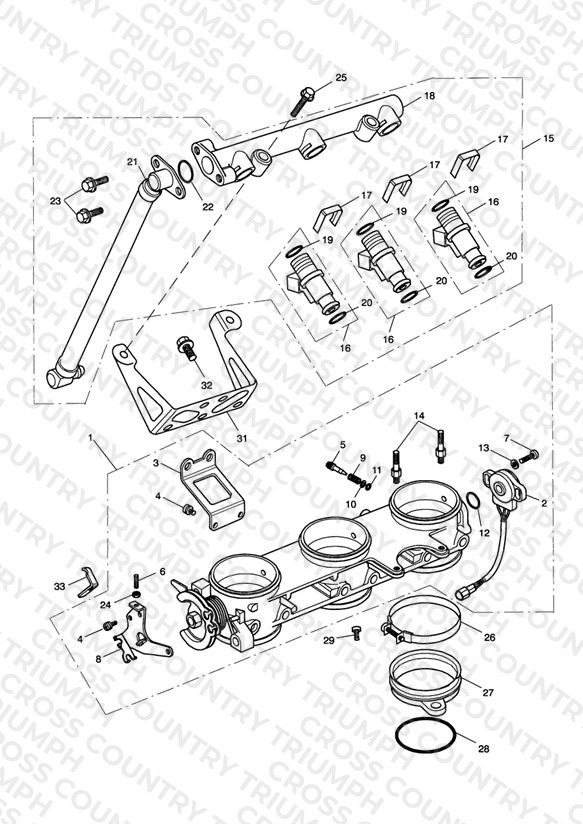 Throttles/Injectors and Fuel Rail 207555 >