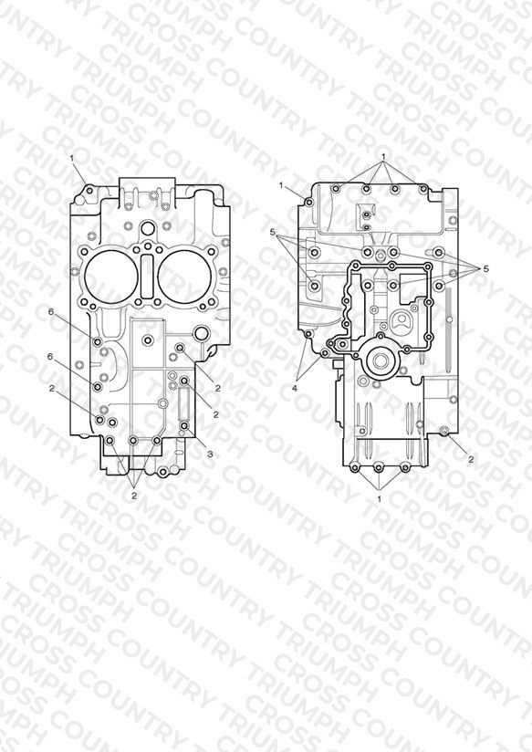 Crankcase Bolts