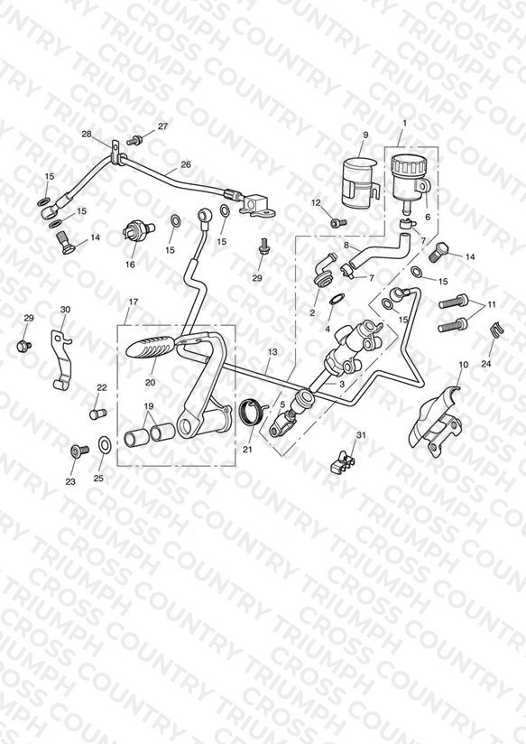 Rear Brake Master Cylinder, Reservoir & Pedal