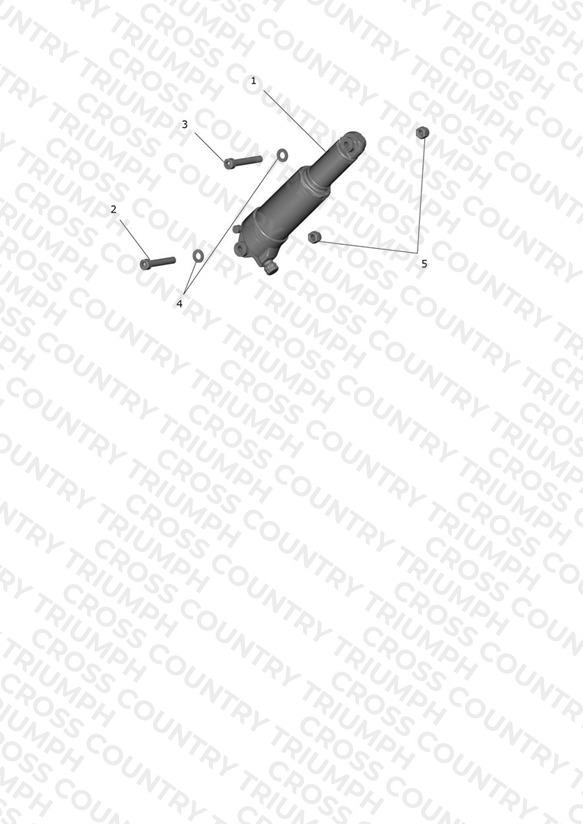 Rear Suspension Unit
