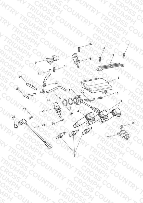 Engine Management System