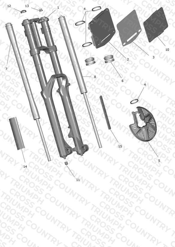 Front Forks & Lower Yoke
