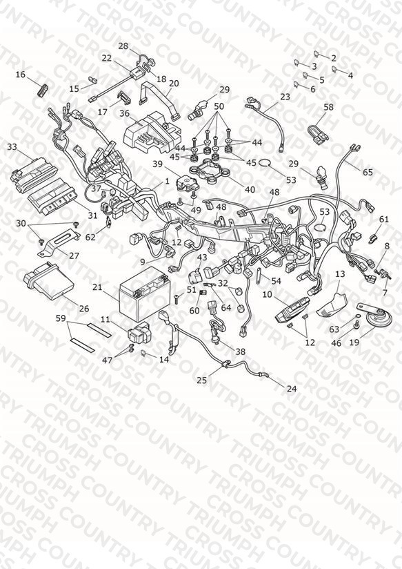 Electrical System