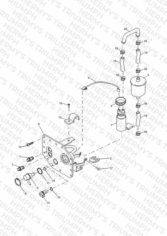 Fuel Pump and Filter 72717 »