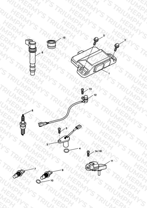 Engine Management System