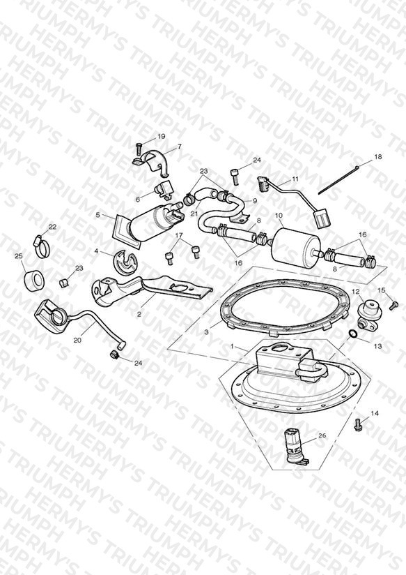 Fuel Pump & Fittings