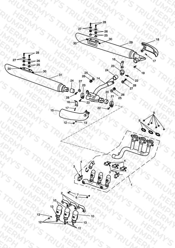 Exhaust System