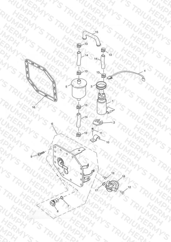 Fuel Pump and Filters 207555 >