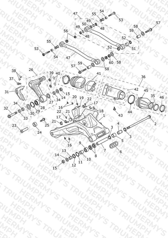Swinging Arm Assembly