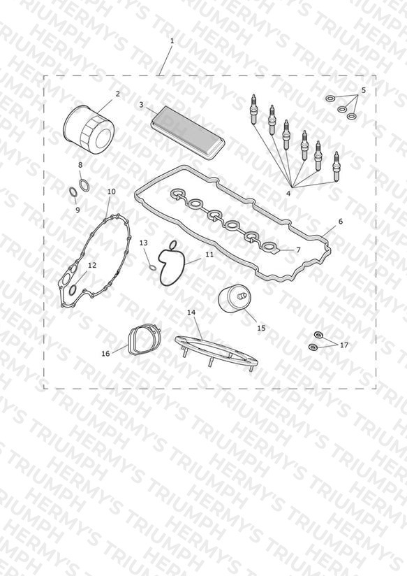 Engine Service Kits