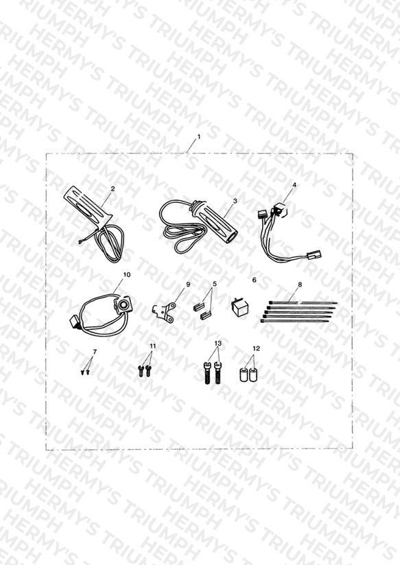 Heated Grip Kit