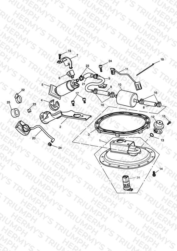 Fuel Pump & Fittings