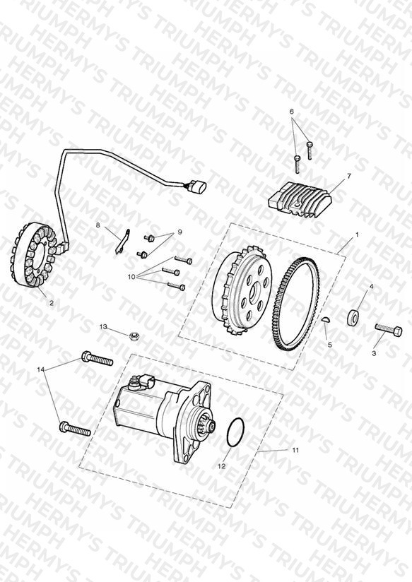 Starter & Alternator