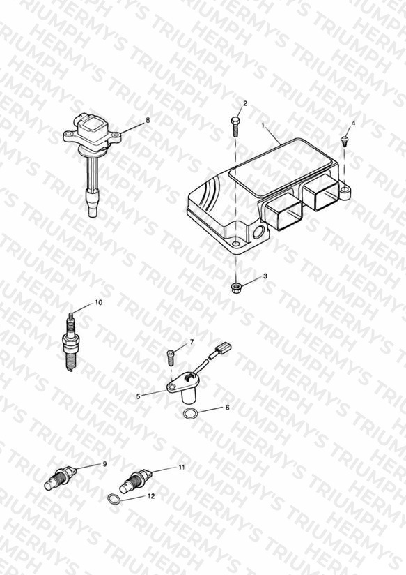 Engine Management System
