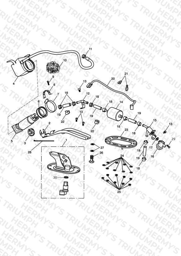 Fuel Pump & Filter