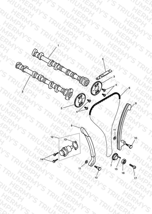 Camshaft & Camshaft Drive