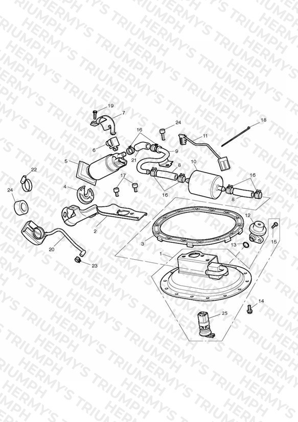 Fuel Pump & Fittings