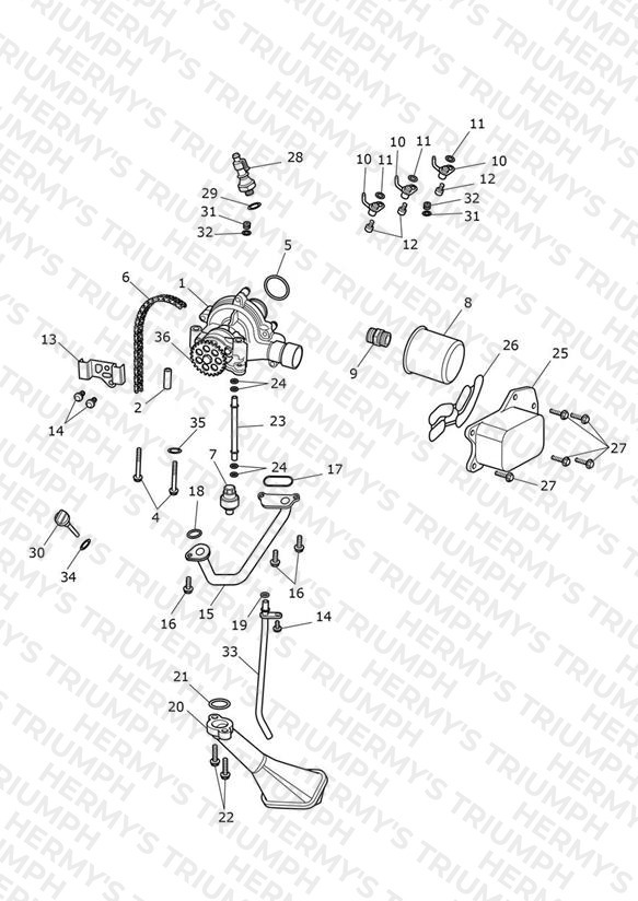 Oil Pump Drive