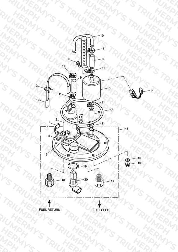 Fuel Pump and Filter
