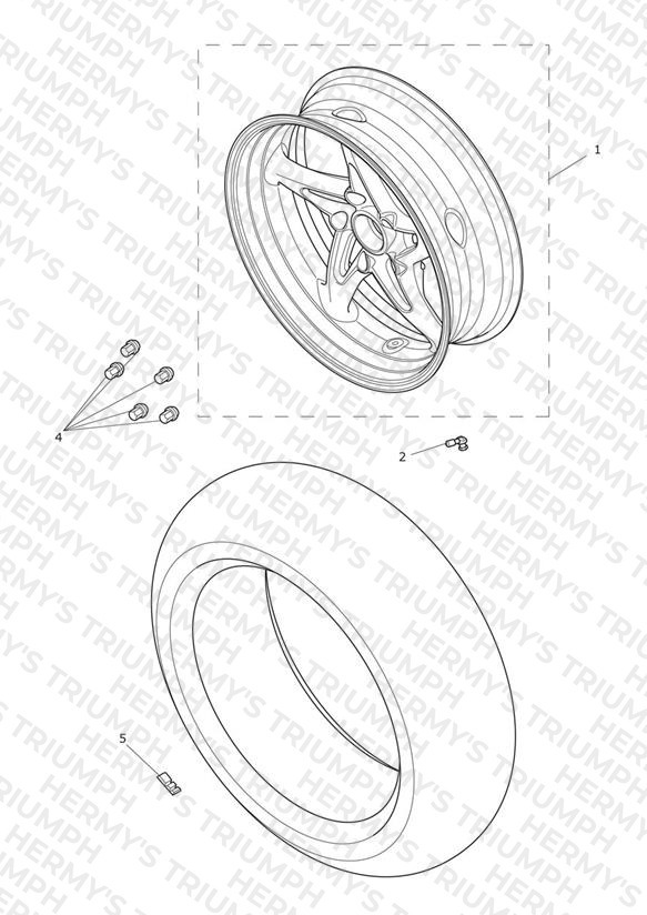 Rear Wheel