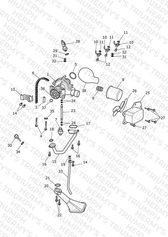 Oil Pump Drive